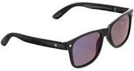 Glassy Leonard Polarized Sunglasses – Matte Black/Gunmetal