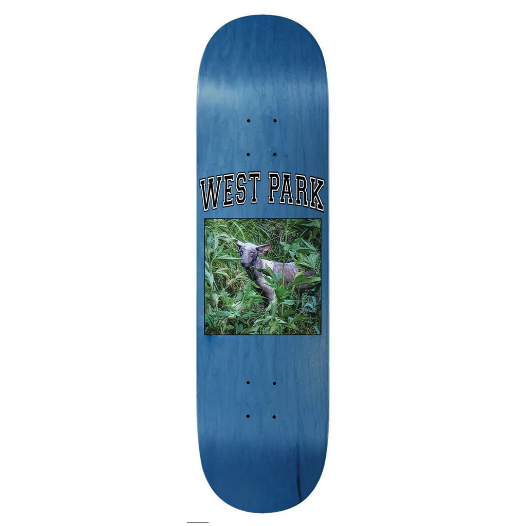 Aaron Loreth Angel 8.5''