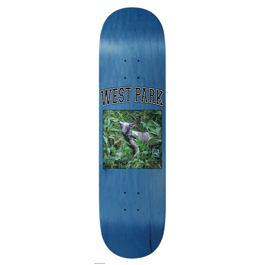 Aaron Loreth Angel 8.5''