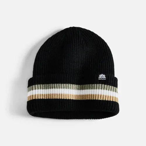 Cuff Beanie (blk)
