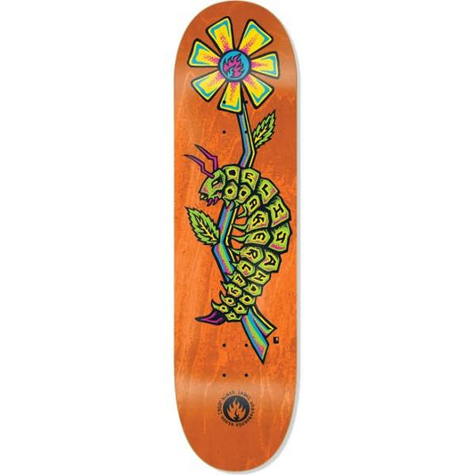 Akerley Caterpillar 8.25''