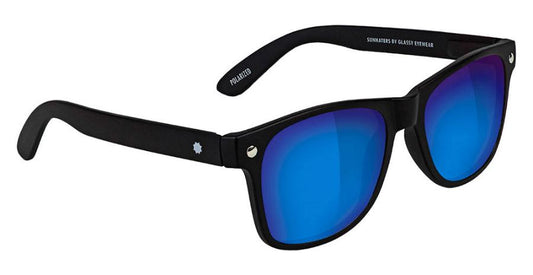 Leonard Polarized (Blk/Blu)