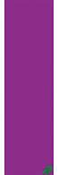 9in Purple