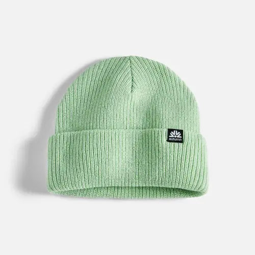 Simple Beanie (qgrn)